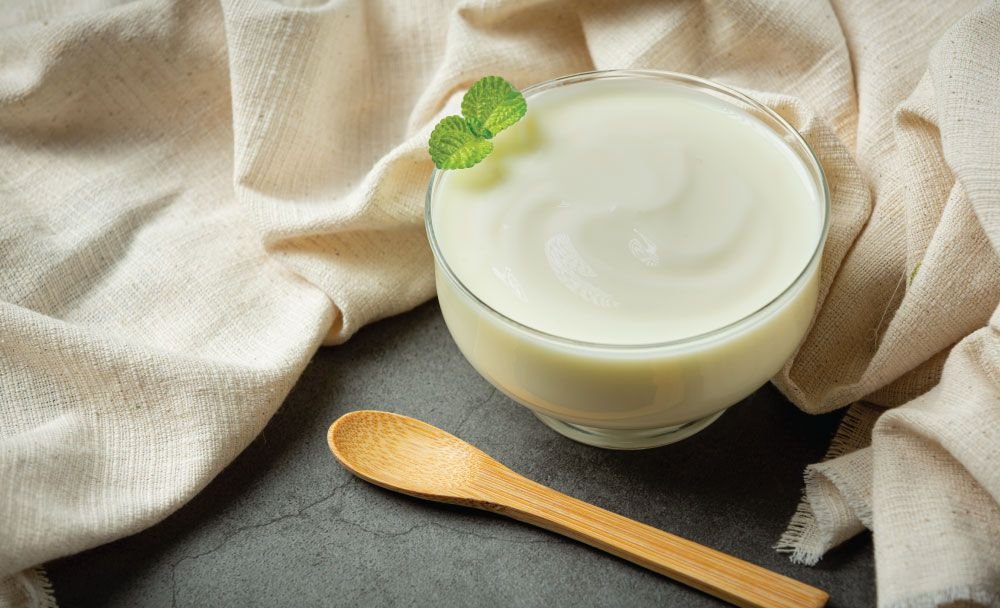 yogurt benefits - livayur