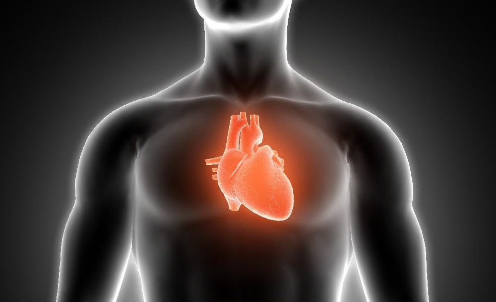 supports cardiovascular health - brahmi vati benefits supports cardiovascular health - brahmi vati benefits