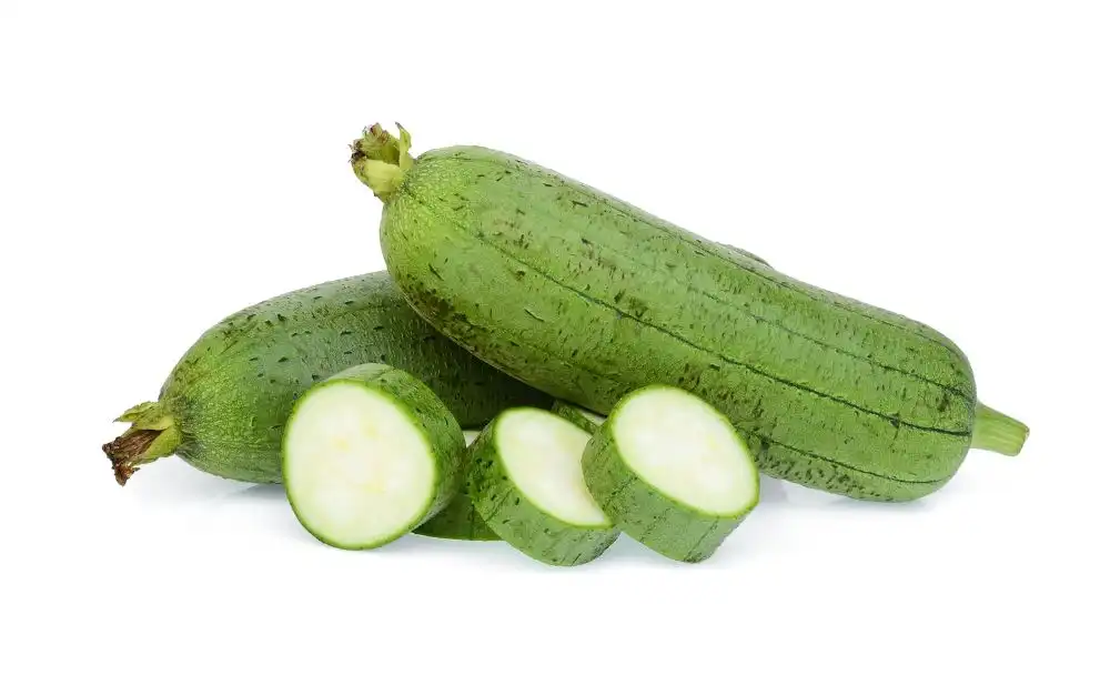 sponge gourd - livayur sponge gourd - livayur