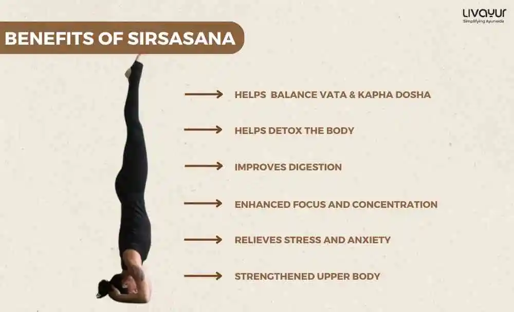 Sirsasana ( Headstand) Benefits & How to do Sirsasana Step by Step Sirsasana Headstand Benefits How to do Sirsasana Step by Step
