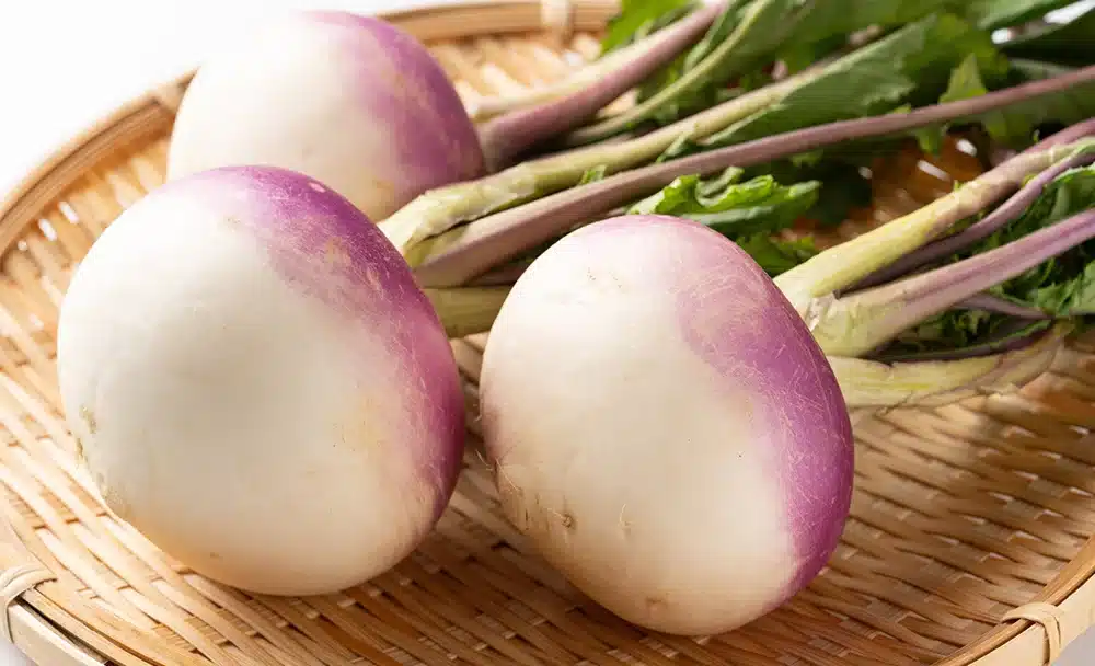 05-1000-X-608px शलजम