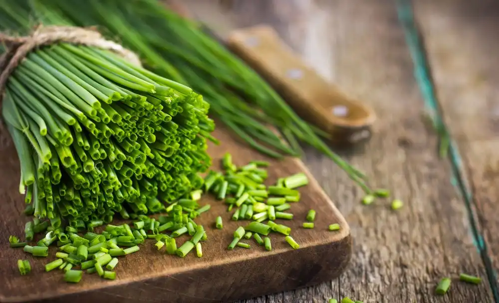 41-2 Chives Nutritional Value