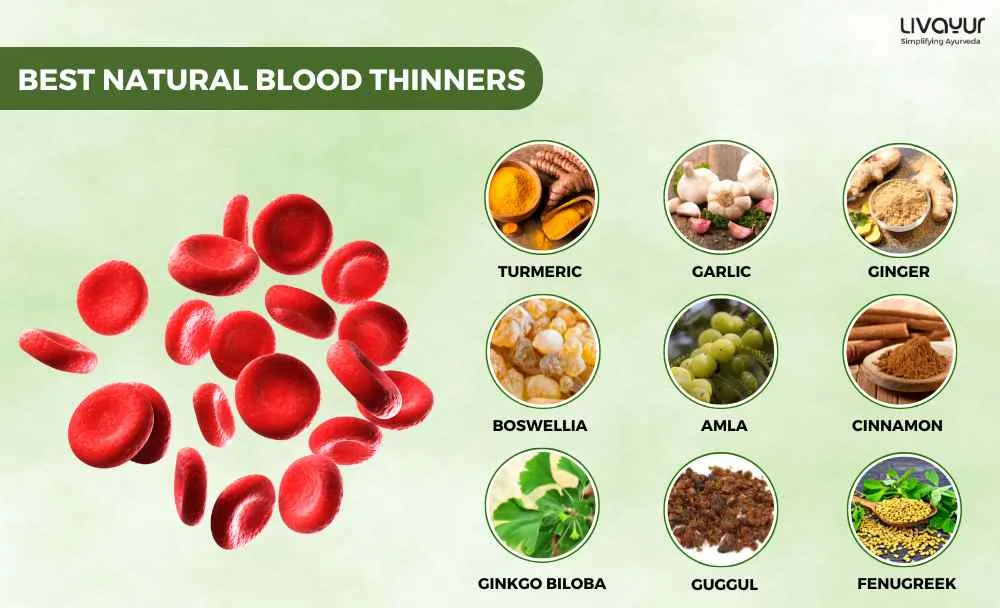 15 Best Natural Blood Thinners Food and Supplements (1)_19_11zon 15 Best Natural Blood Thinners Food and Supplements 1 19 11zon