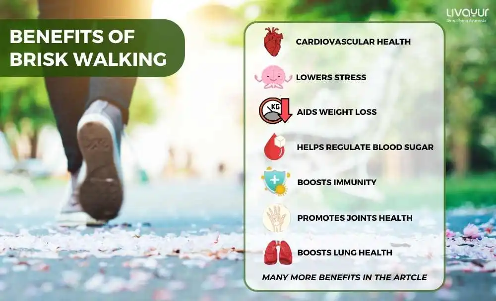 20 Incredible Benefits of Brisk Walking for Your Overall Health 20 Incredible Benefits of Brisk Walking for Your Overall Health