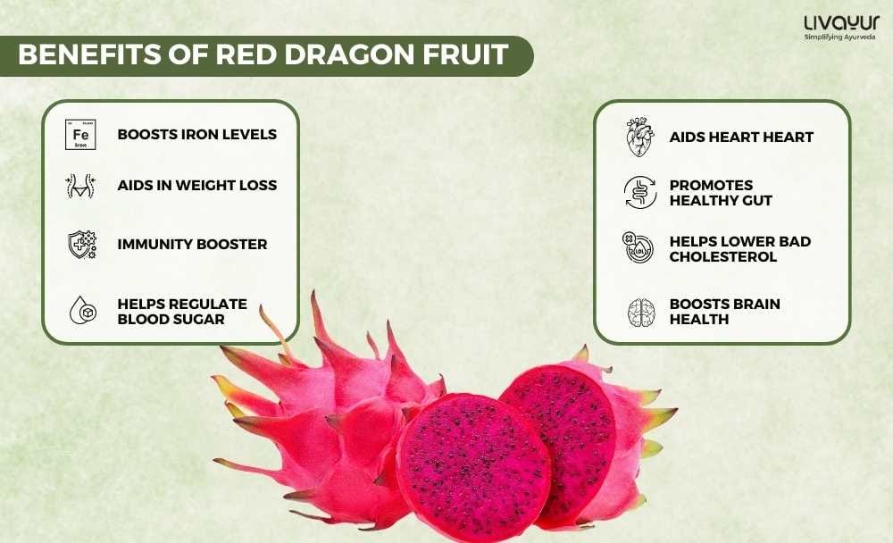 Red Dragon Fruit Everything You Need To Know About It Red Dragon Fruit Everything You Need To Know About It